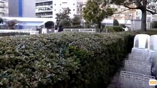 风寒感冒吃什么药好还是后入比较爽
